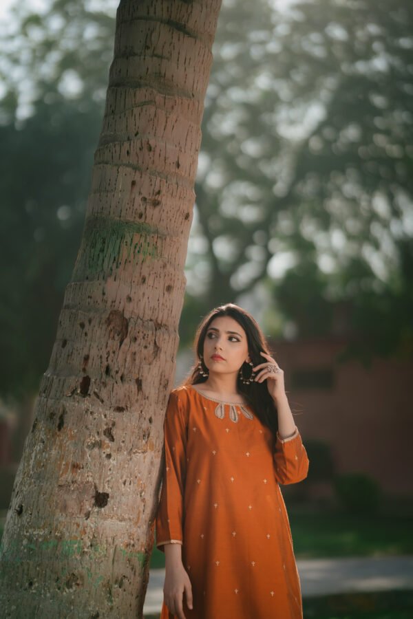 Jaleebi - Image 3
