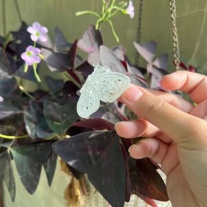 Butterfly Hair Clip
