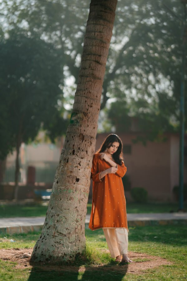 Jaleebi - Image 2